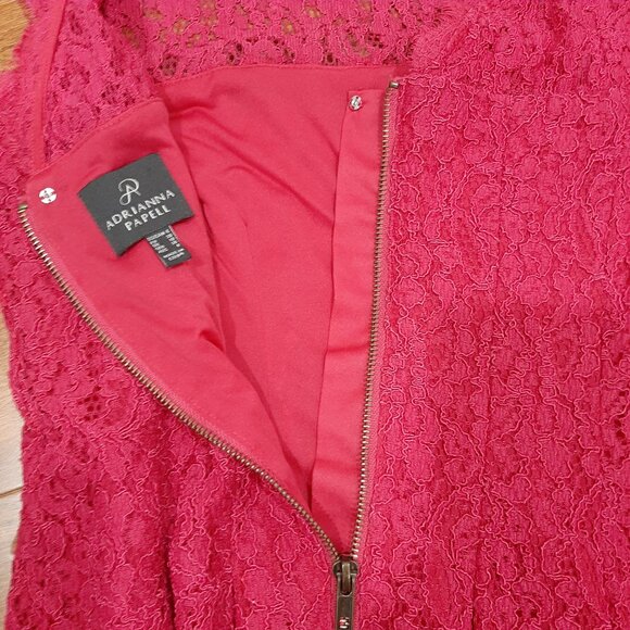 🔥 Adrianna Papell pink lace couture low back coquette pleated flare dress - Picture 8 of 16